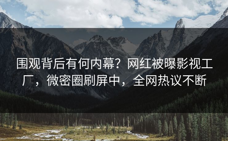围观背后有何内幕？网红被曝影视工厂，微密圈刷屏中，全网热议不断