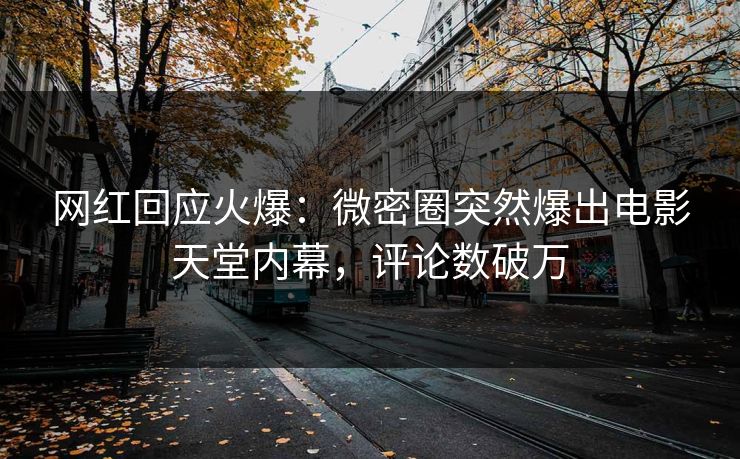 网红回应火爆：微密圈突然爆出电影天堂内幕，评论数破万