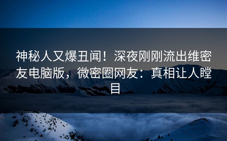 神秘人又爆丑闻！深夜刚刚流出维密友电脑版，微密圈网友：真相让人瞠目