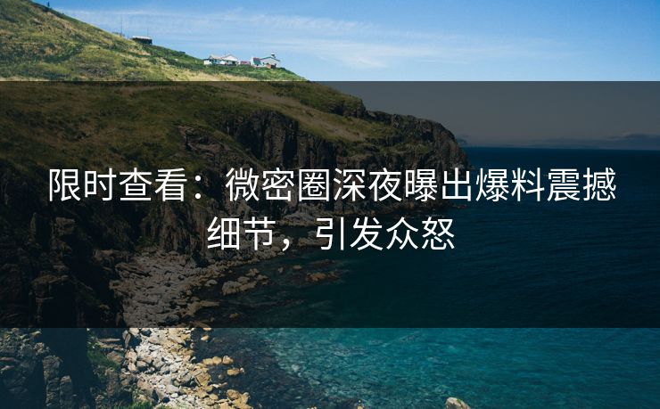 限时查看：微密圈深夜曝出爆料震撼细节，引发众怒