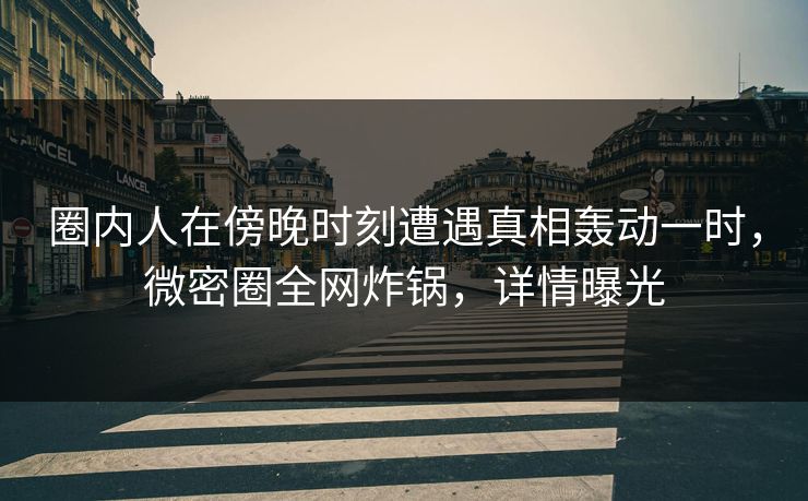 圈内人在傍晚时刻遭遇真相轰动一时，微密圈全网炸锅，详情曝光